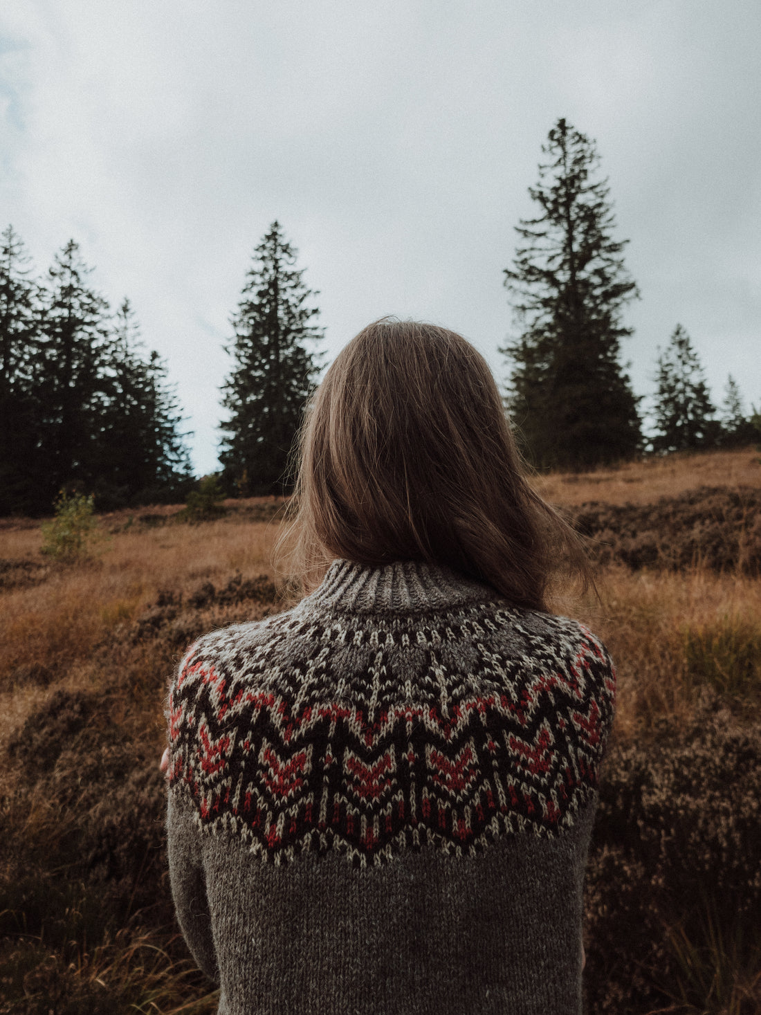 Ember Fox Sweater - Knitting Pattern – Woodlandsknits